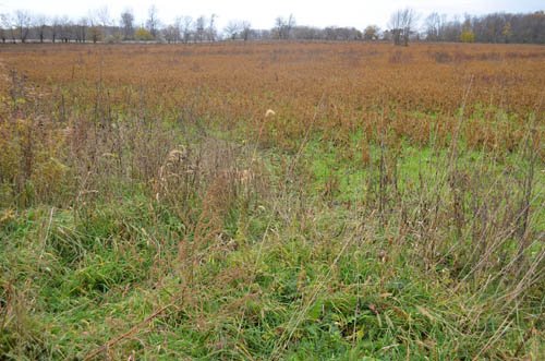 Property photo 19 - 80 Acres & Home - Property Offered in 4 Tracts from 2.3 to 30.0 Acres